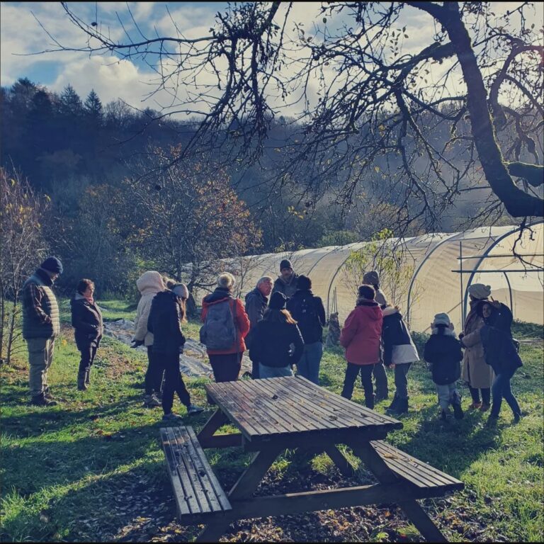 Tous dans le même panier à la ferme de Lovagny