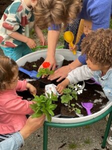 jardin partagé rulland